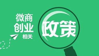 佳澜招商代理 化妆品与软件开发领域的入门指南