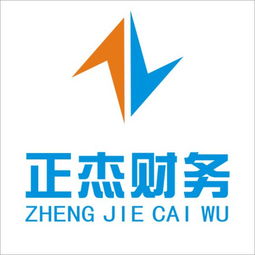 中南路代理记账服务 专业财务解决方案与软件开发支持